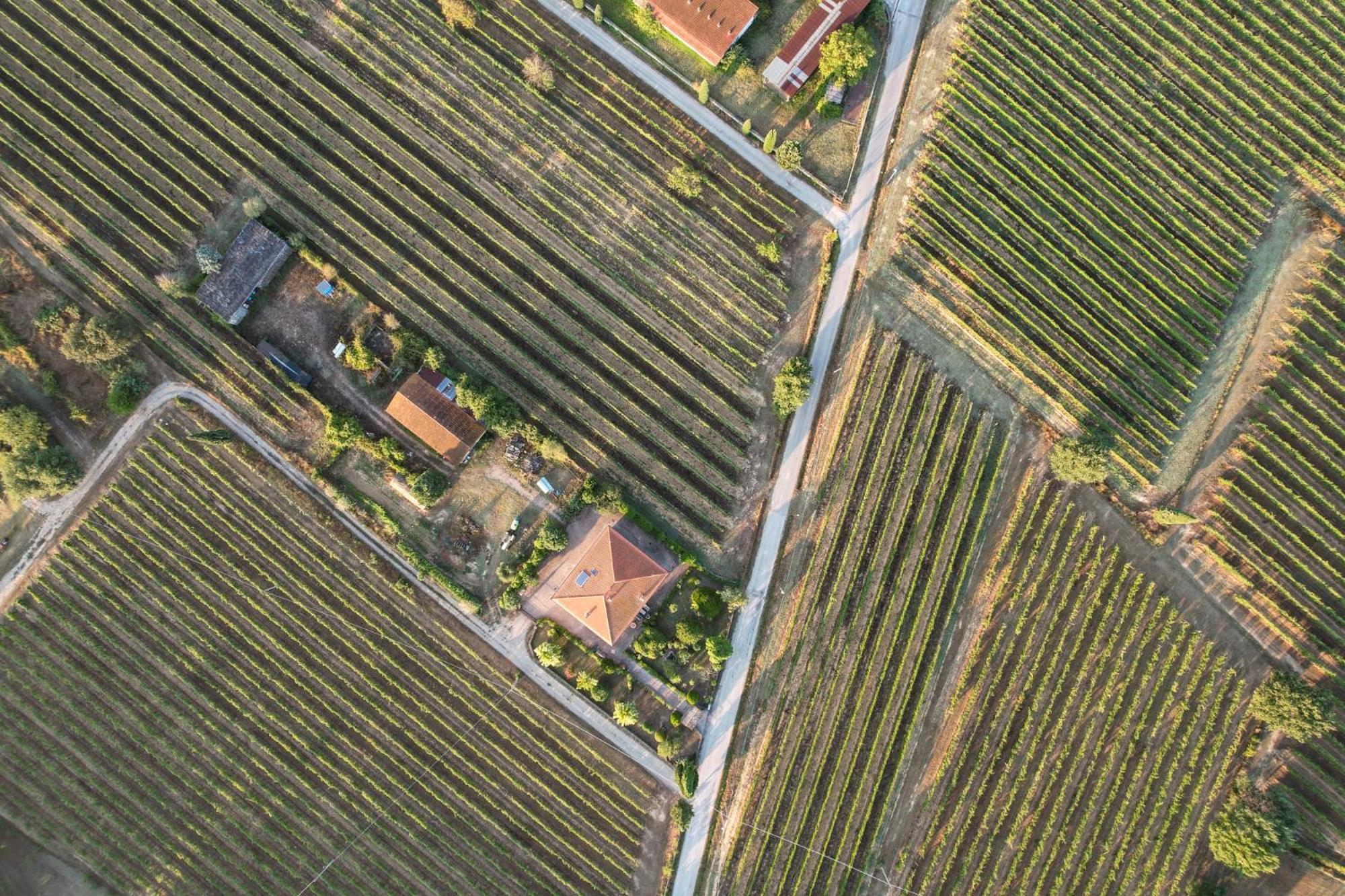 Cappannelle Country House Tuscany Кастильон-Фибокки Экстерьер фото