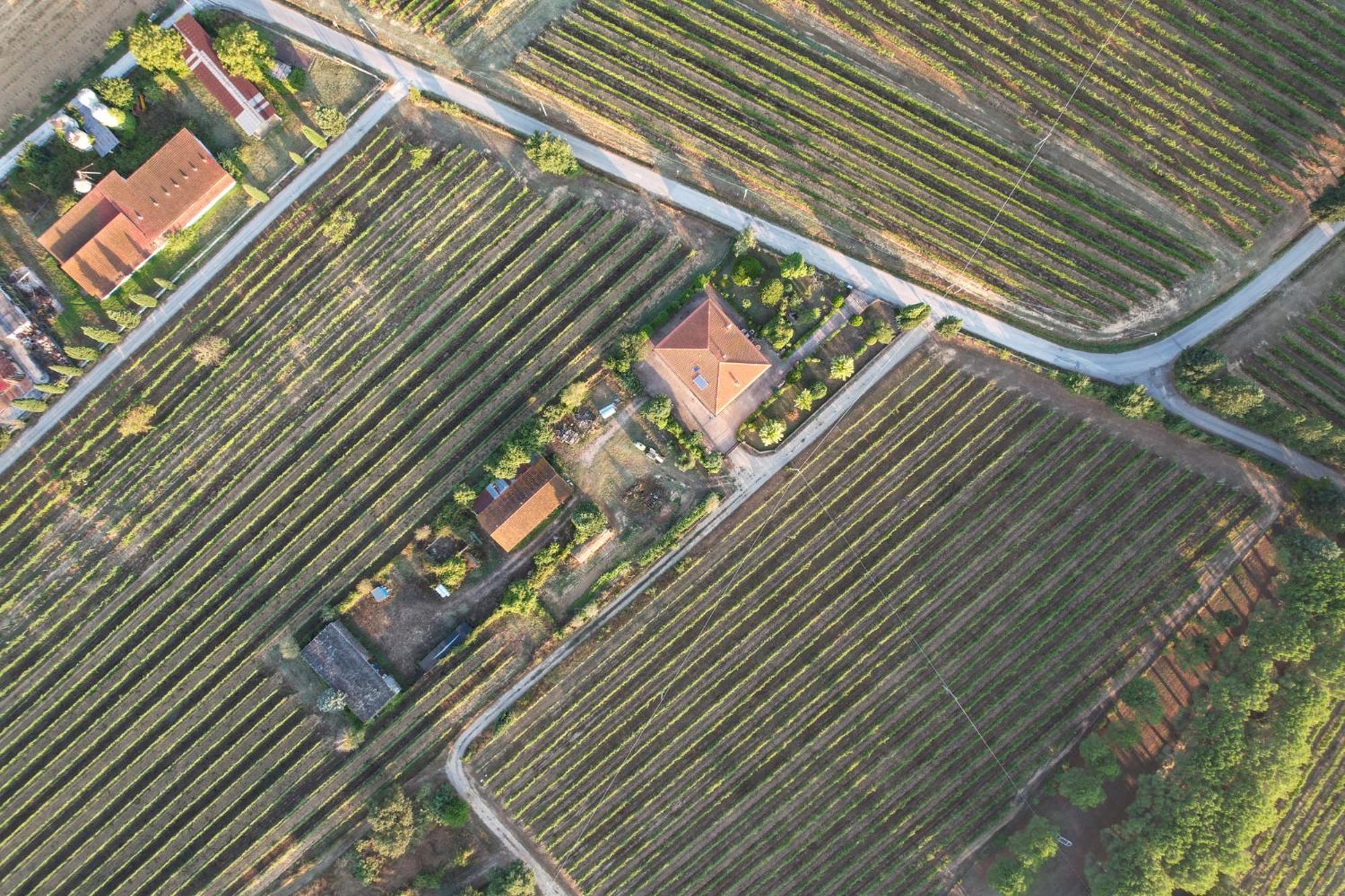 Cappannelle Country House Tuscany Кастильон-Фибокки Экстерьер фото