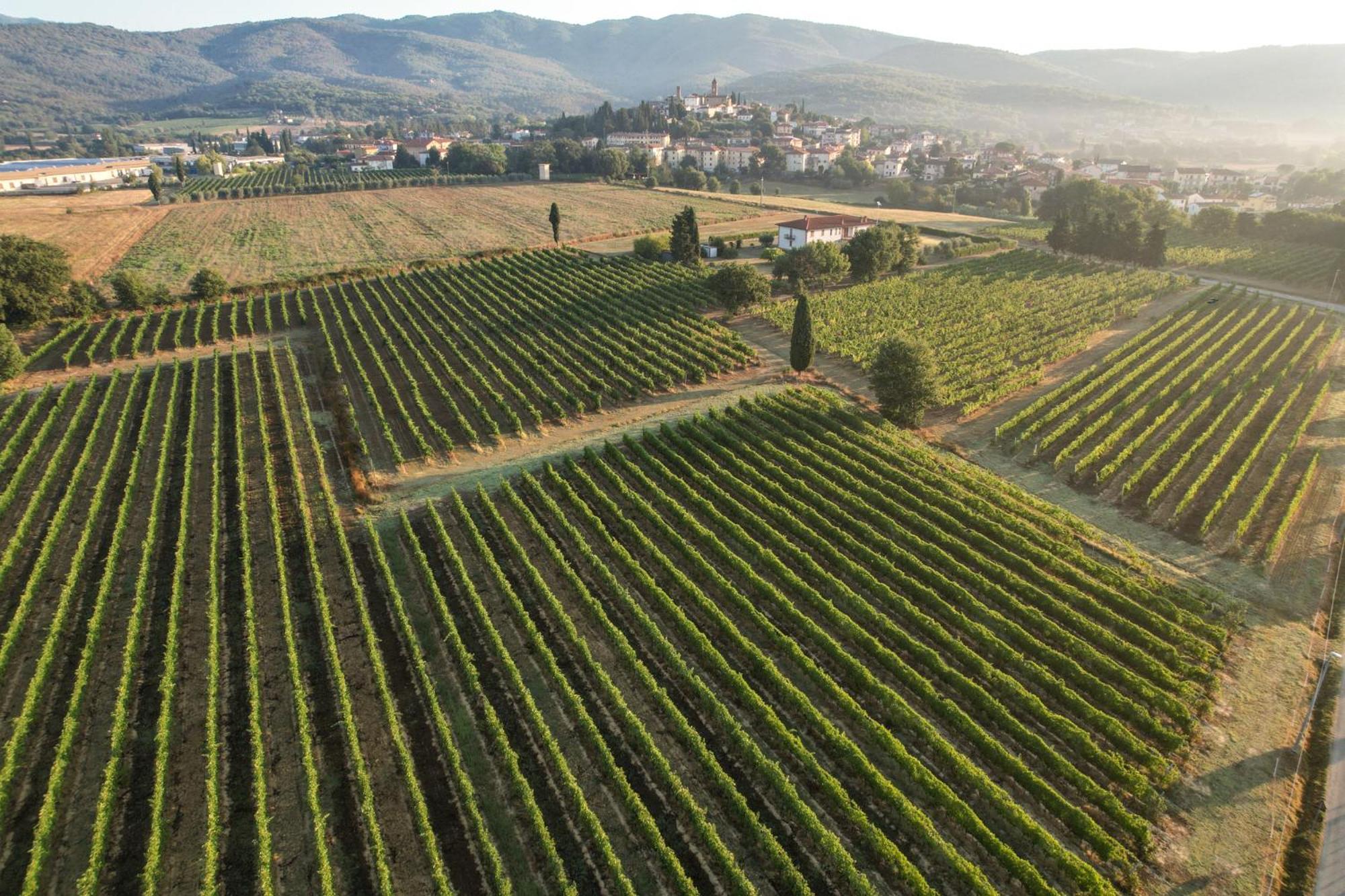 Cappannelle Country House Tuscany Кастильон-Фибокки Экстерьер фото