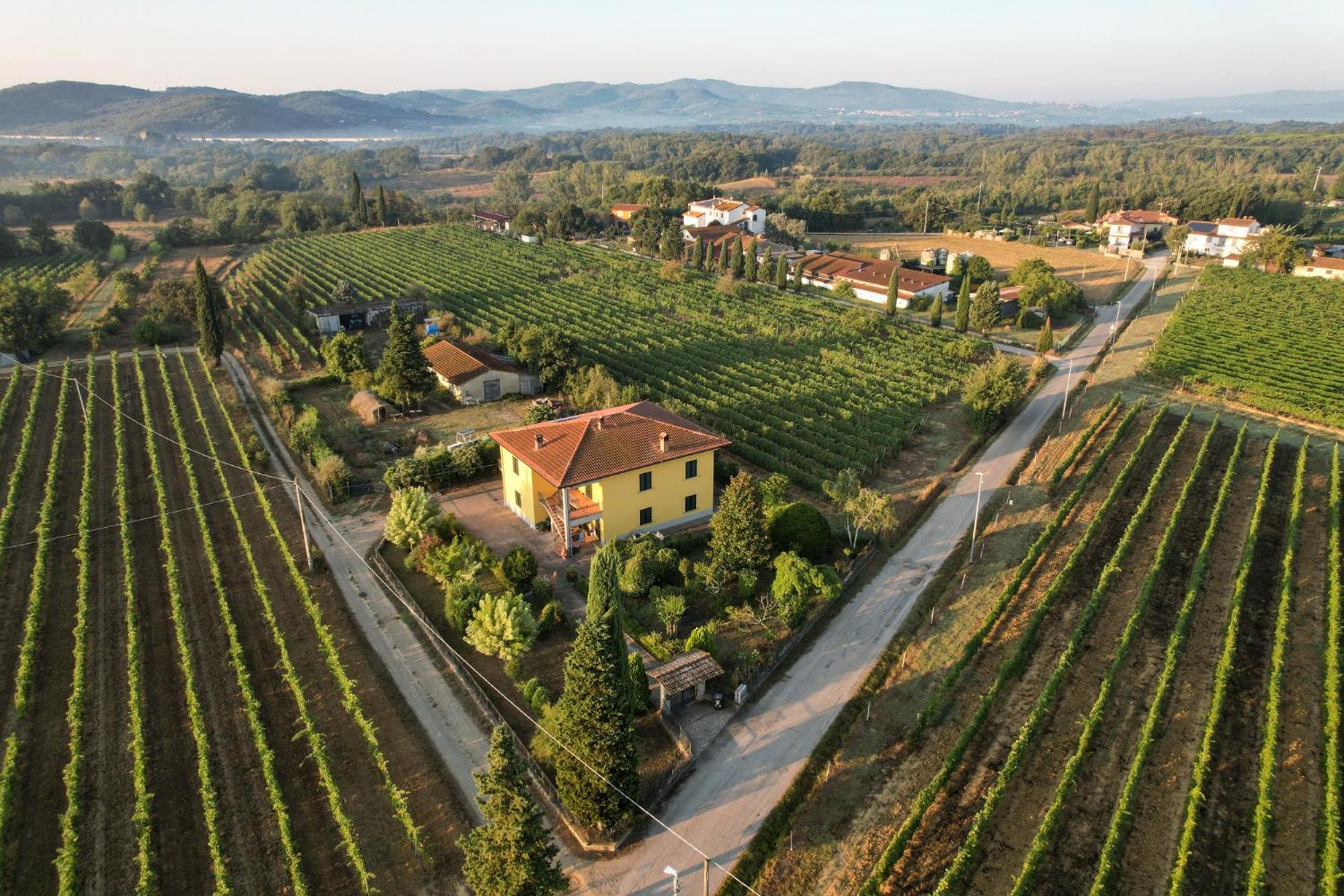 Cappannelle Country House Tuscany Кастильон-Фибокки Экстерьер фото