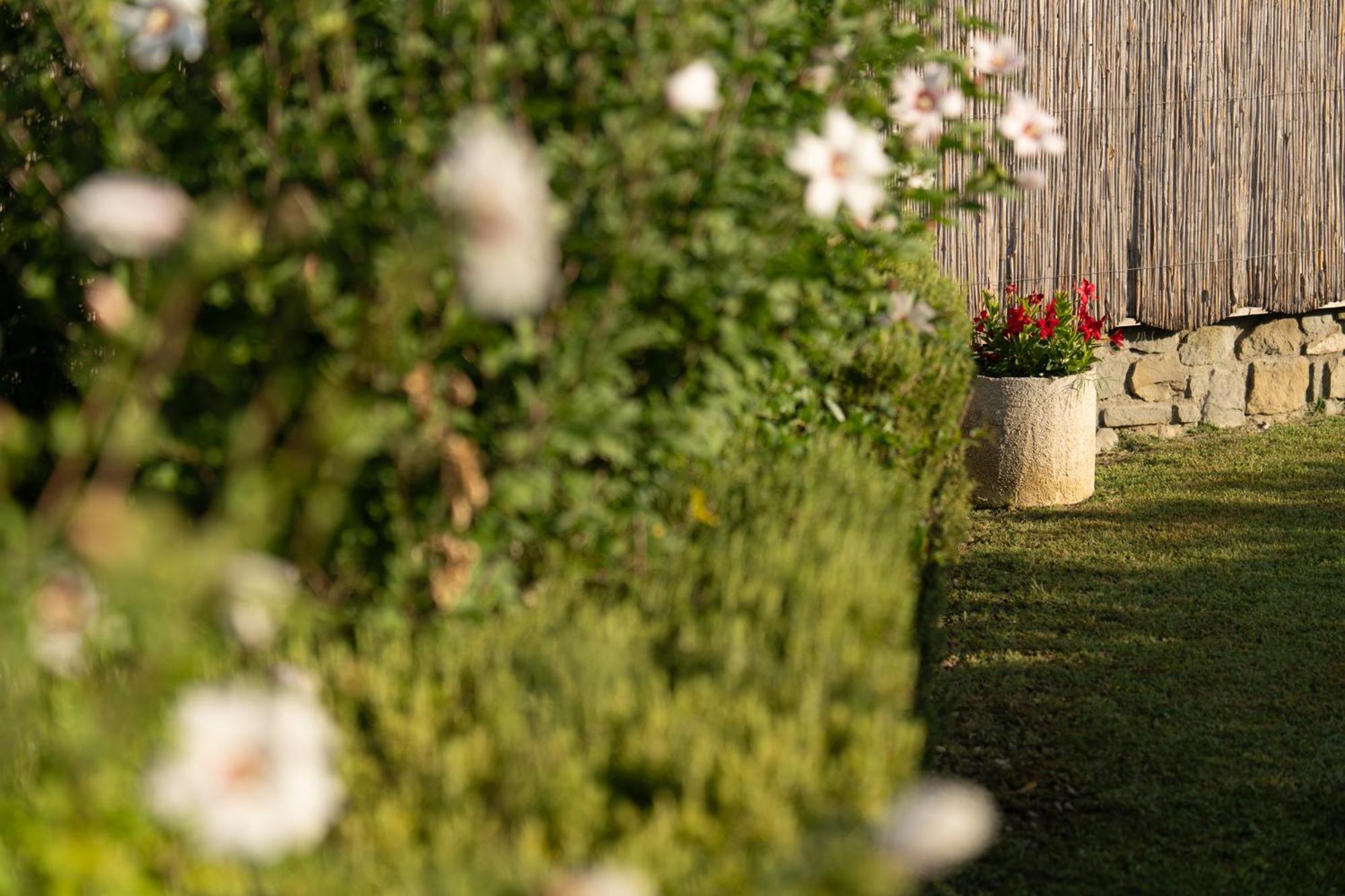 Cappannelle Country House Tuscany Кастильон-Фибокки Экстерьер фото