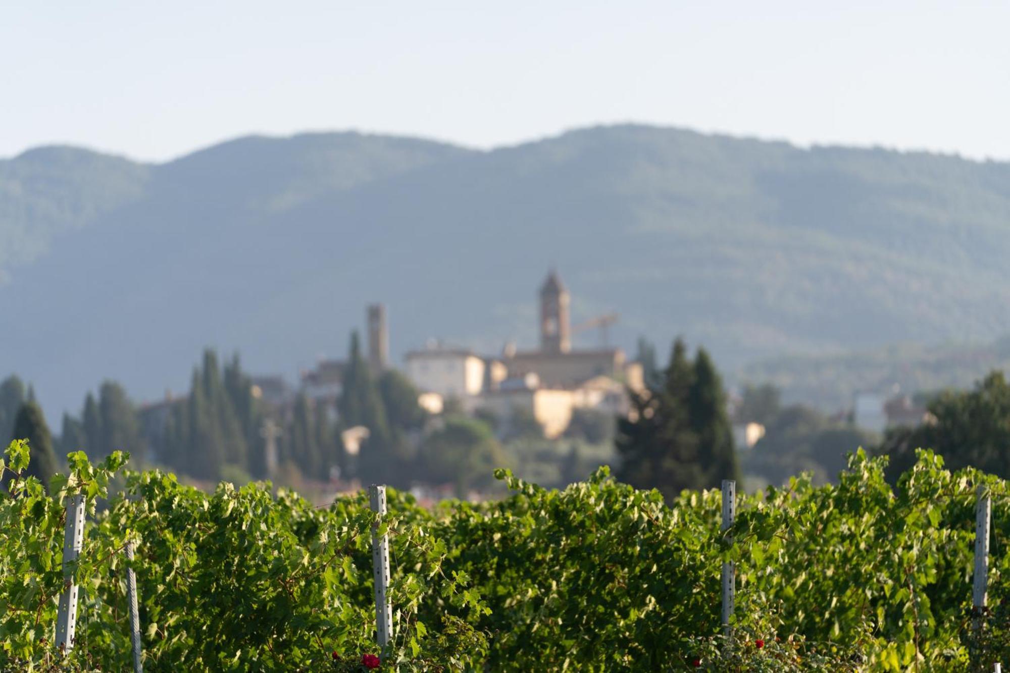 Cappannelle Country House Tuscany Кастильон-Фибокки Экстерьер фото